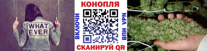 Магазины продажи наркотиков Елизово КОКАИН APVP Псилоцибиновые грибы Меф мяу мяу ОМГ ОМГ ТОР ГАШИШ
