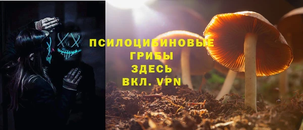 ешки Алексин