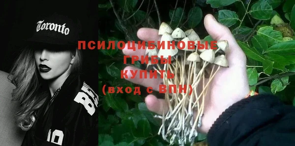 ешки Алексин