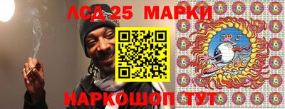 гашик Донской
