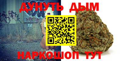 гашик Донской