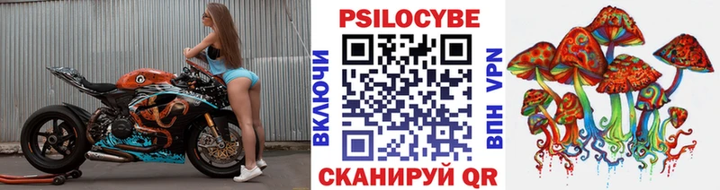 Псилоцибиновые грибы Magic Shrooms  Елизово 