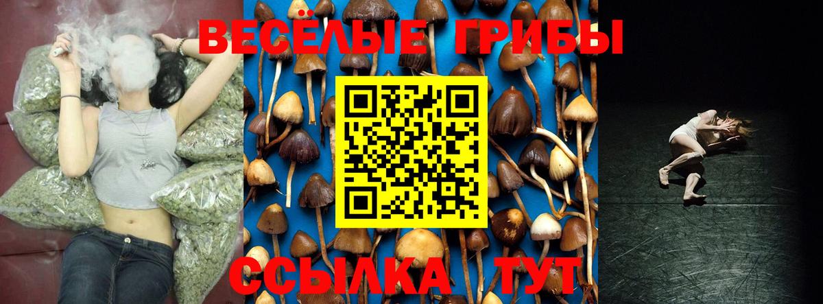 Елизово  Галлюциногенные грибы Magic Shrooms  Вход с VPN  Галлюциногенные грибы Psilocybine cubensis 
