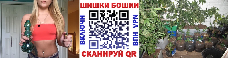 Каннабис MAZAR  Елизово 